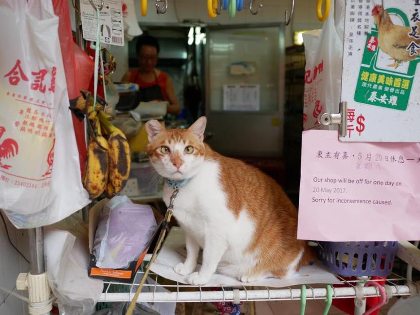 18446761_10208346056640195_4410073013938008528_n