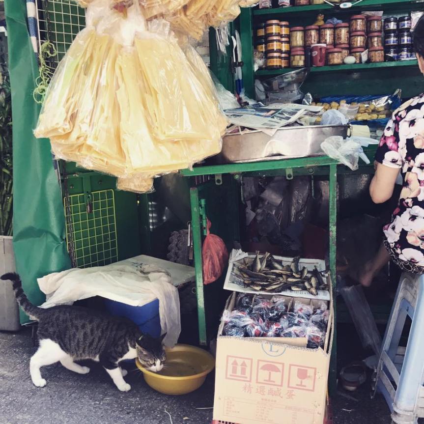 18527663_10208354977103201_6450039662591043_n