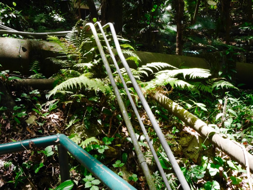 ANpEssf8Ta20Ie4BvIv0eg_thumb_3c79